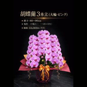 熊本配送対応｜ピンク胡蝶蘭 3本立（大輪）｜45輪以上｜開店祝い・法人ギフト