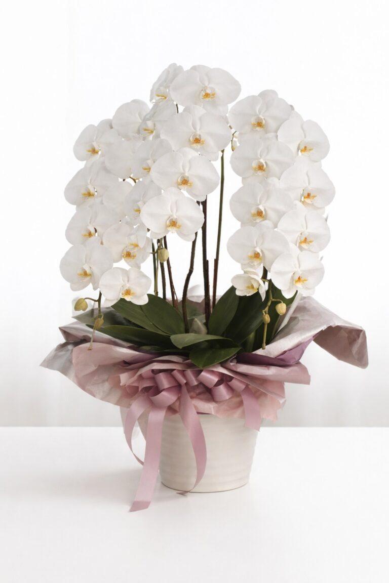 Birthday Flower Gift